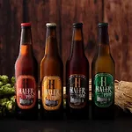Haler 3* ポドチェトルテク