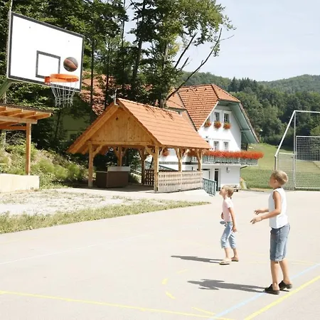 Guest house Haler 3*