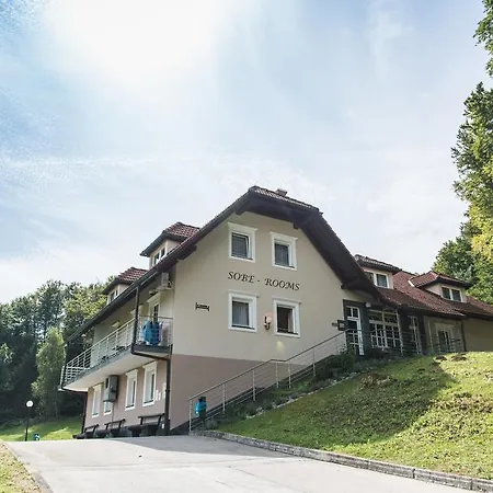 Guest house Haler 3*