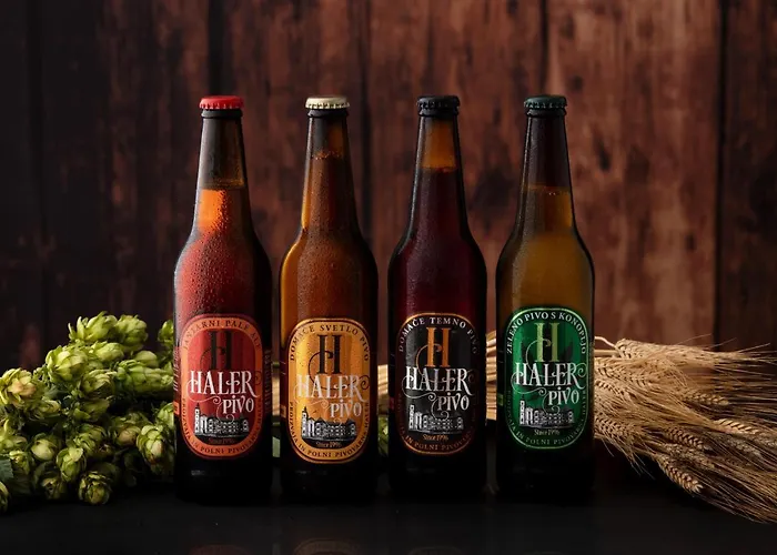 Haler 3* 포드체트르테크