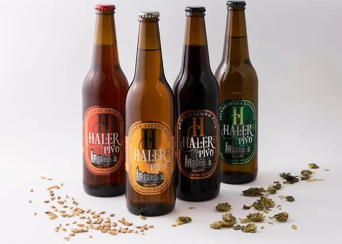 Haler 포드체트르테크