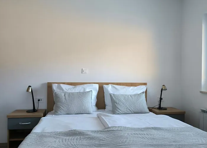 Haler 포드체트르테크