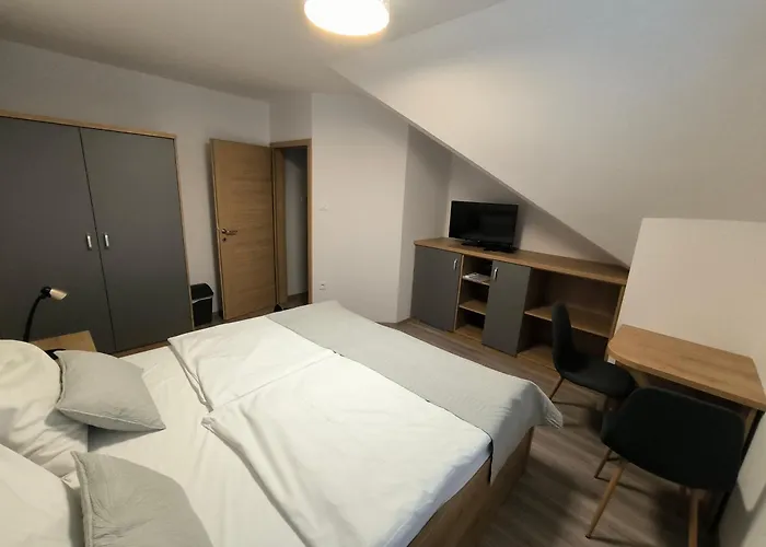 Casa de hóspedes Haler 3*