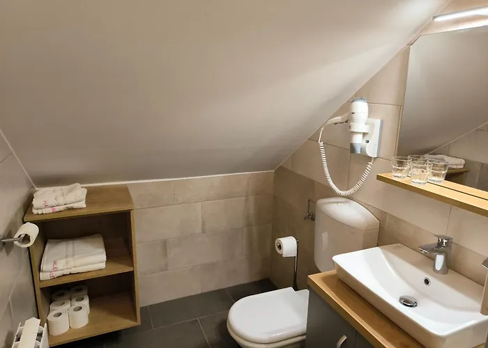 Haler 3* 포드체트르테크