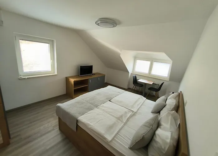 Casa de hóspedes Haler