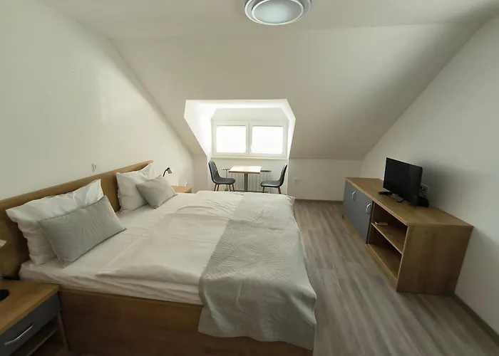 Casa de hóspedes Haler 3*