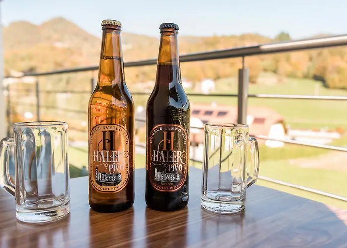 ゲストハウス Haler ポドチェトルテク